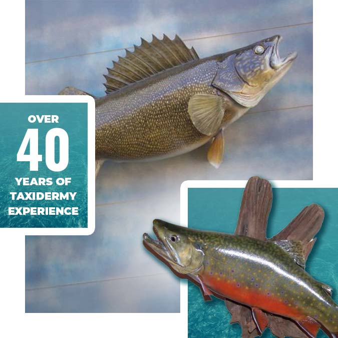 anglers-art-fish-taxidermy-taxidermist-about-us