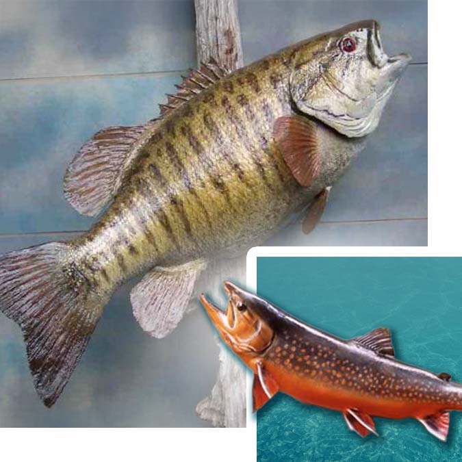 anglers-art-fish-taxidermy-taxidermist-services